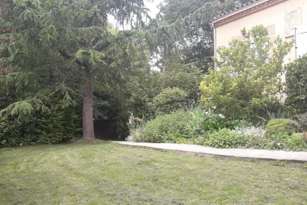 Ahoma, Sejour Bien-Etre, Calme Et Serenite. Labruguière Eksteriør billede